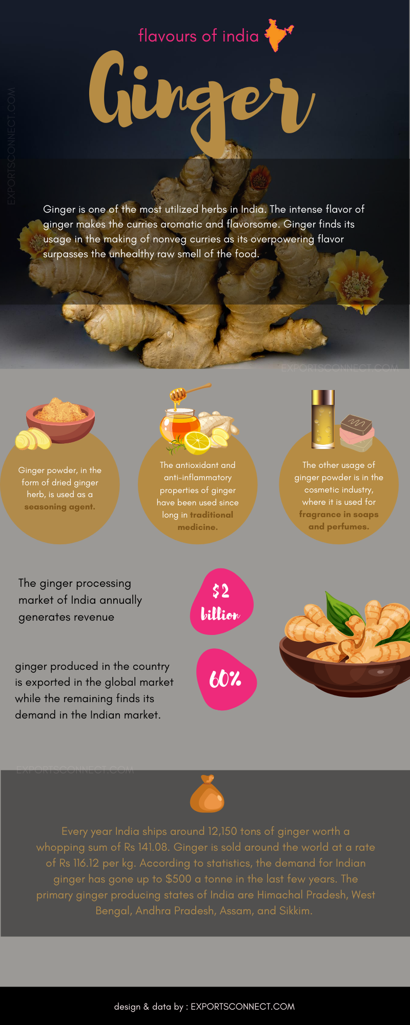 Top 5 ginger exporter of India 2024 Exports Connect